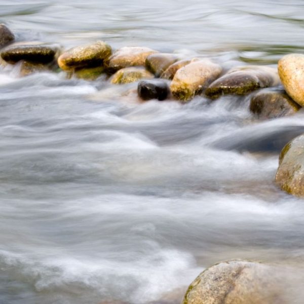Uitvaartbeurs Flevoland ‘Afscheid is Onsterfelijk’