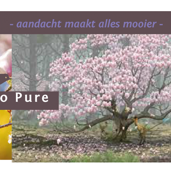 Lente kist en bloemen vormen 1